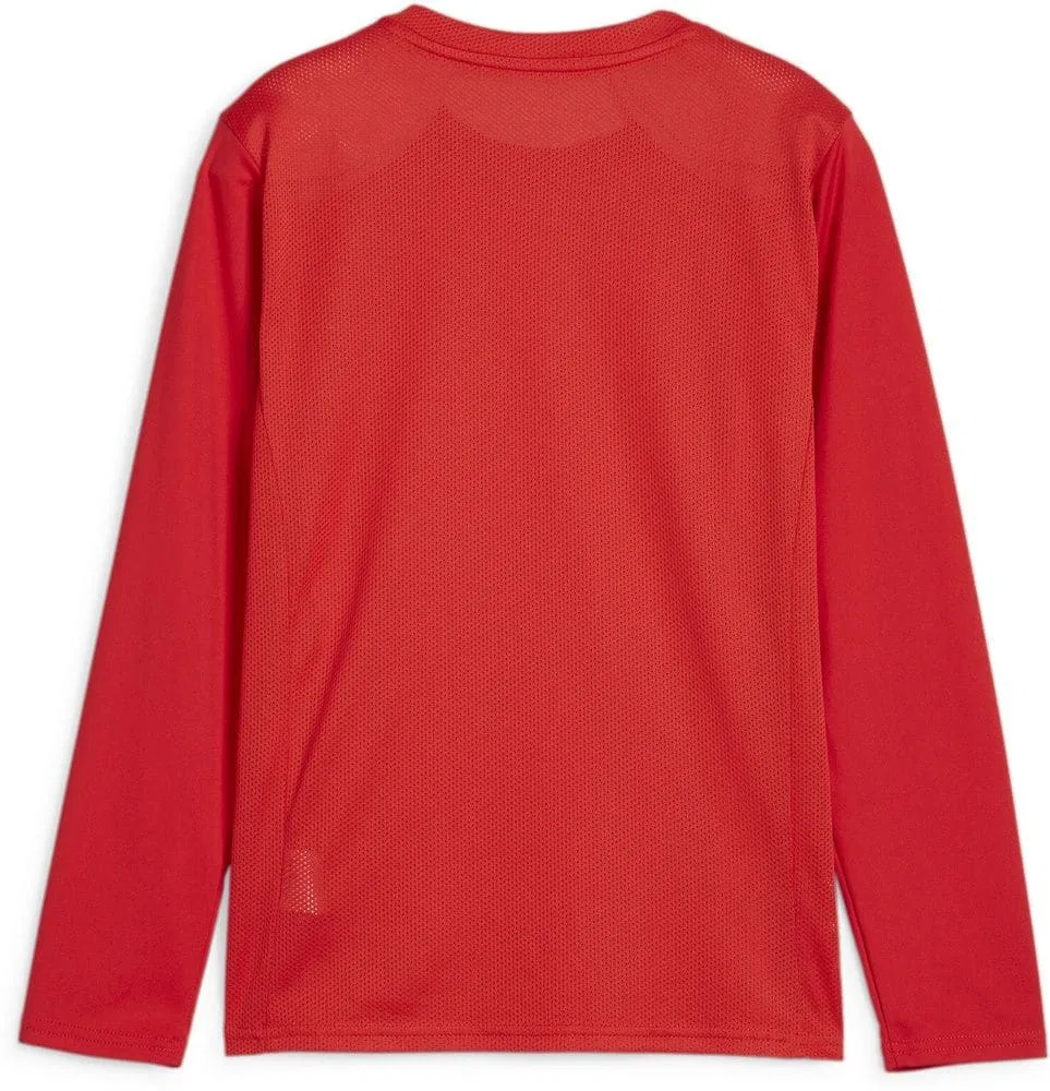 Футболка длинным рукавом TeamGoal Longsleeve Jersey Jr, Puma, красный — фото 2