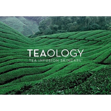 Teaology Peach Tea Hydra Cream 50 мл Увлажняющий дневной и ночной крем Натуральная косметика Веганская, Teaology Tea Infusion Skincare — фото 3