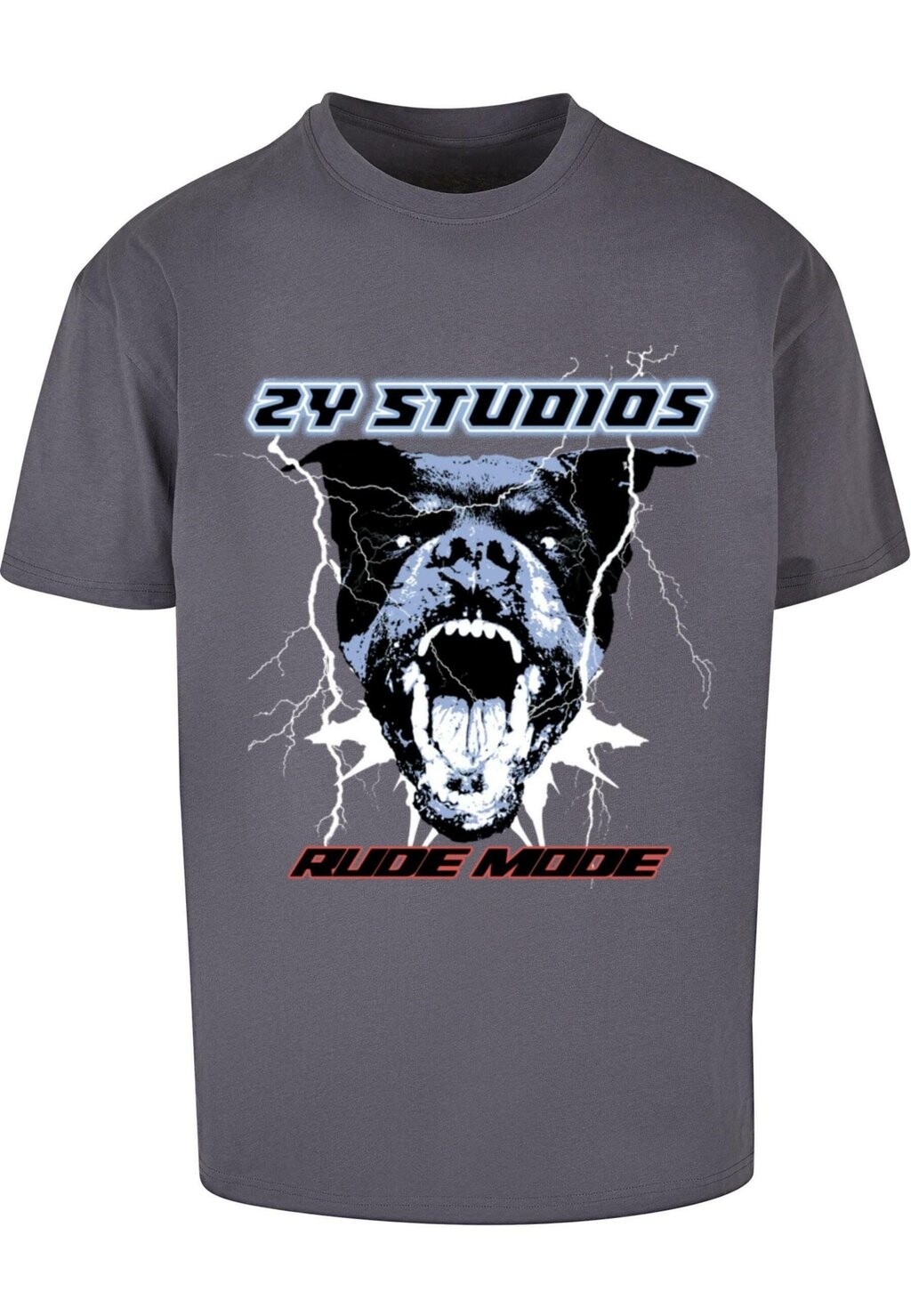 

Футболка с принтом ROTTWEILER TEE 2Y Studios, серый