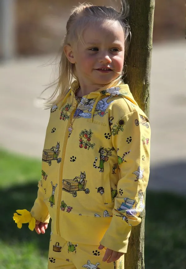 Петсон и финдус колледж /// толстовка Geggamoja, Yellow — фото 3