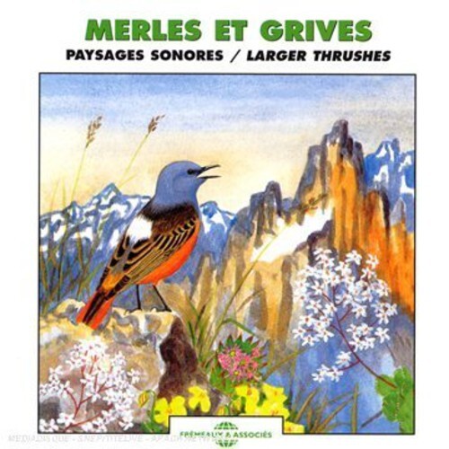 

CD диск Echoes of Nature: Larger Thrushes