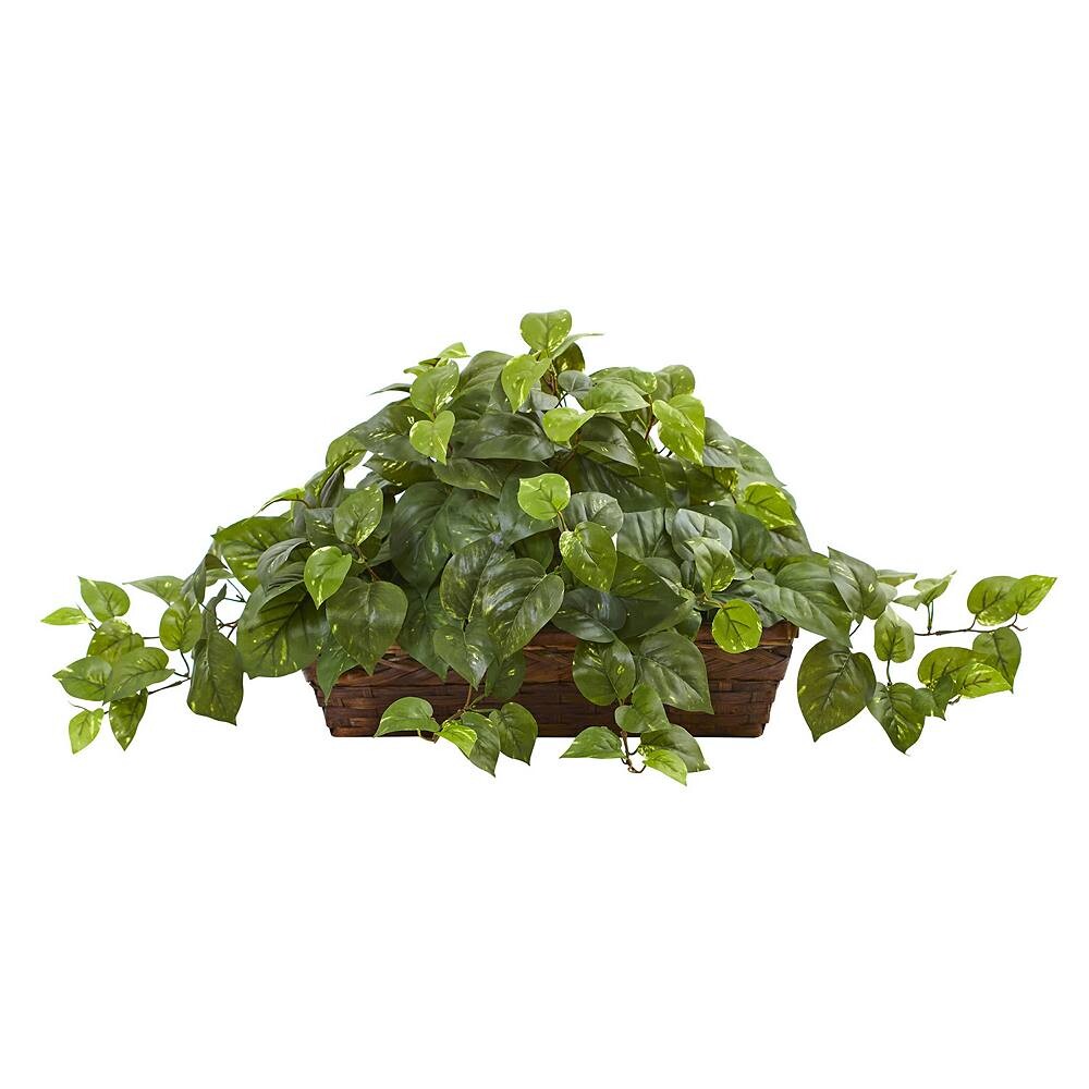 

Почти естественная искусственная корзина с выступом Pothos Nearly Natural, зеленый