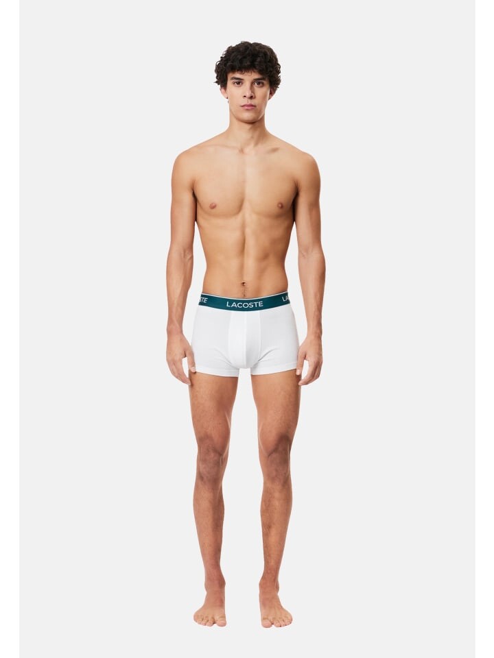 

Боксеры Lacoste, белый
