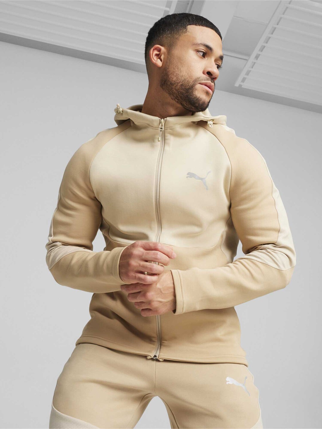 

Толстовка Puma EVOSTRIPE Full-Zip Hoodie DK, бежевый