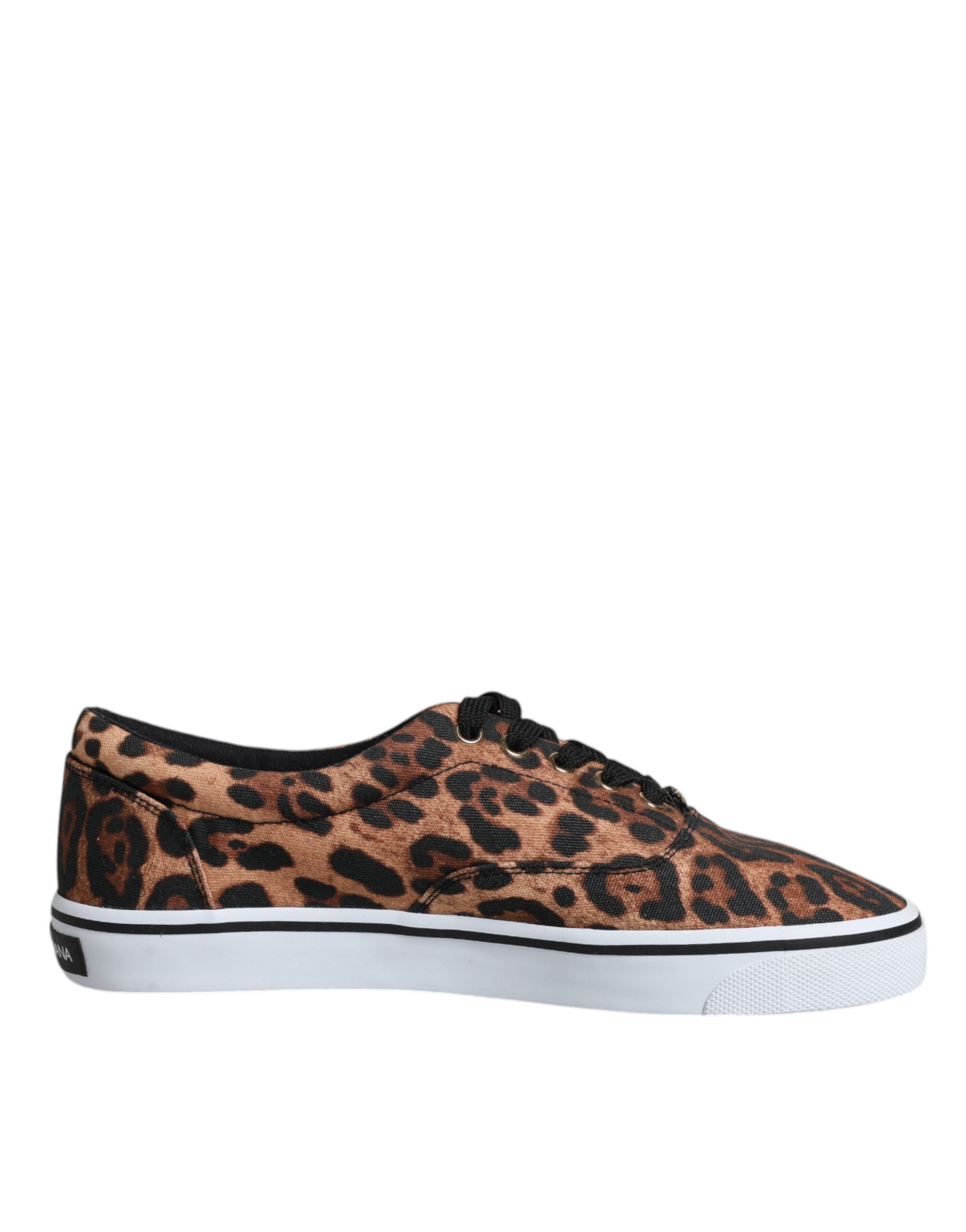 

Коричневые хлопковые кроссовки с логотипом Leopard Dolce & Gabbana