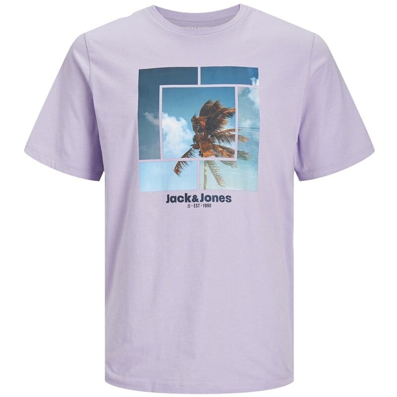 

Мужская футболка целлокс Jack & Jones, фиолетовый