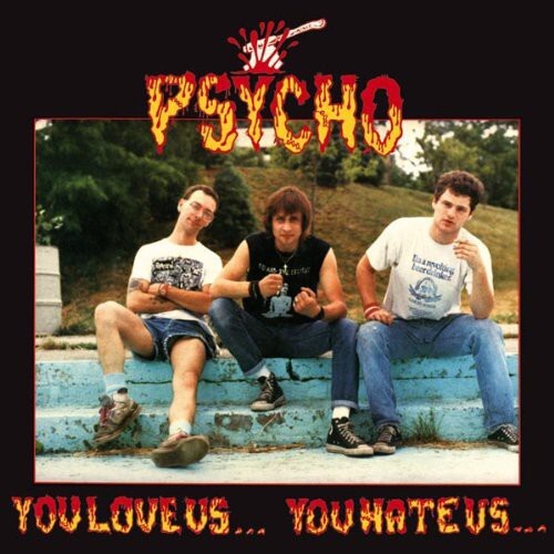 

Виниловая пластинка Psycho: You Love Us...You Hate Us