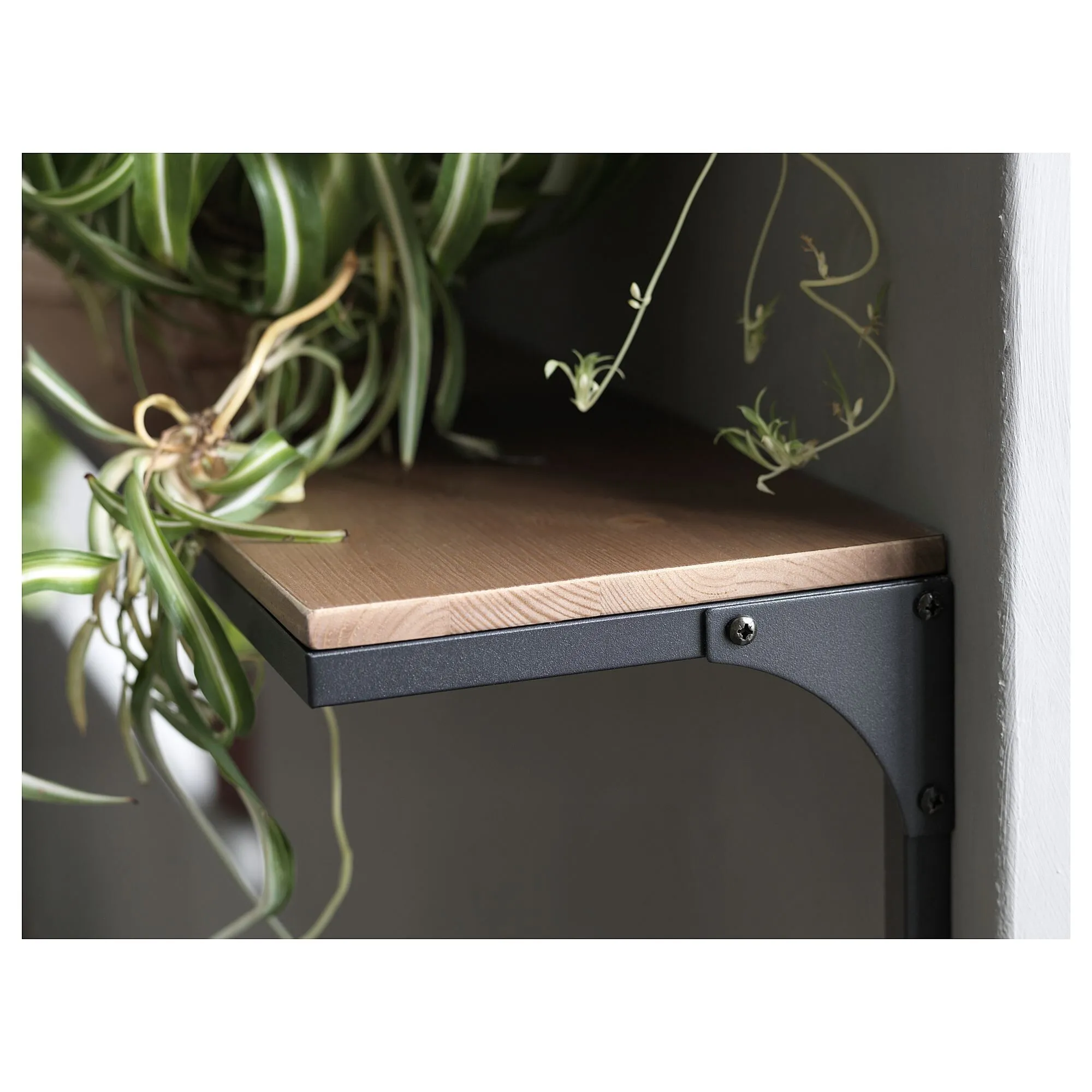 Полка настенная, черная, 101х20 см, 1 упаковка FJÄLLBO IKEA — фото 4