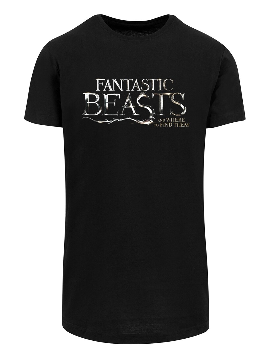 

Рубашка F4NT4STIC Fantastic Beasts, черный
