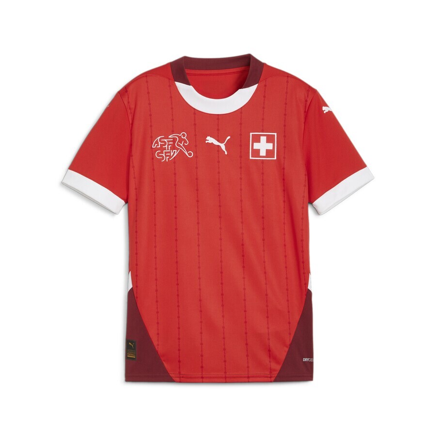 

Спортивная футболка PUMA Performance Schweiz 2024, цвет Red/Bordeaux