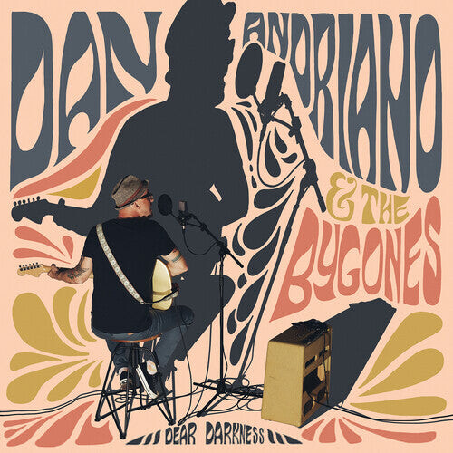 

Виниловая пластинка Andriano, Dan / Bygones: Dear Darkness