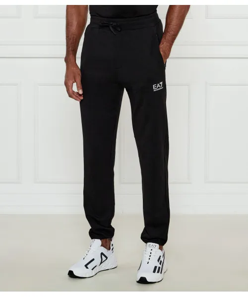 

Спортивные штаны Regular fit Ea7, черный