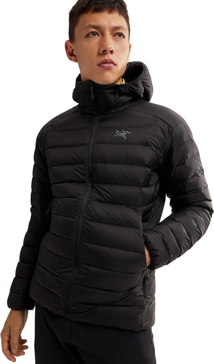 

Куртка Cerium Hoody Arc'teryx, черный