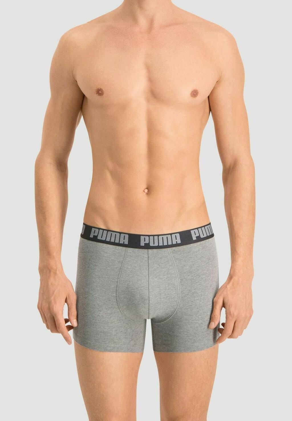 

Брюки Puma, цвет Mottled Light Grey
