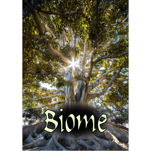

Настольная игра Biome Rpg
