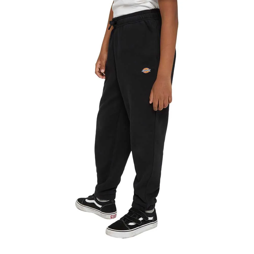 

Спортивные брюки Dickies Youth Mapleton, черный