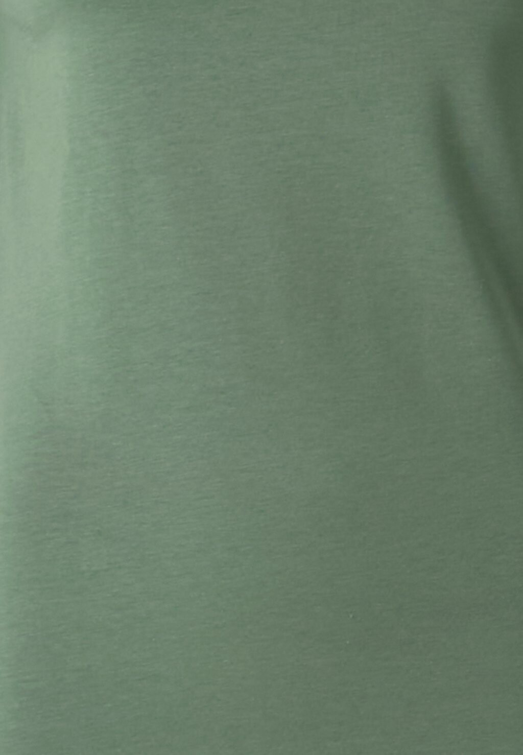 

Базовая футболка VMPANDA Vero Moda, зеленый