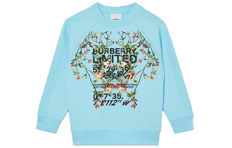 

Детская толстовка Burberry, цвет Blue