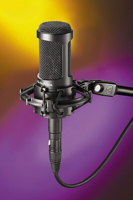 

Конденсаторный микрофон Audio-Technica AT2050 Large Diaphragm Multipattern Condenser Microphone