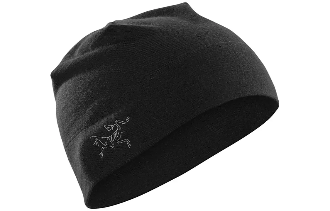

Шапка Arcteryx с логотипом, черный