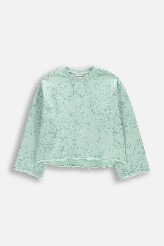 

Толстовка Coccodrillo, зеленый