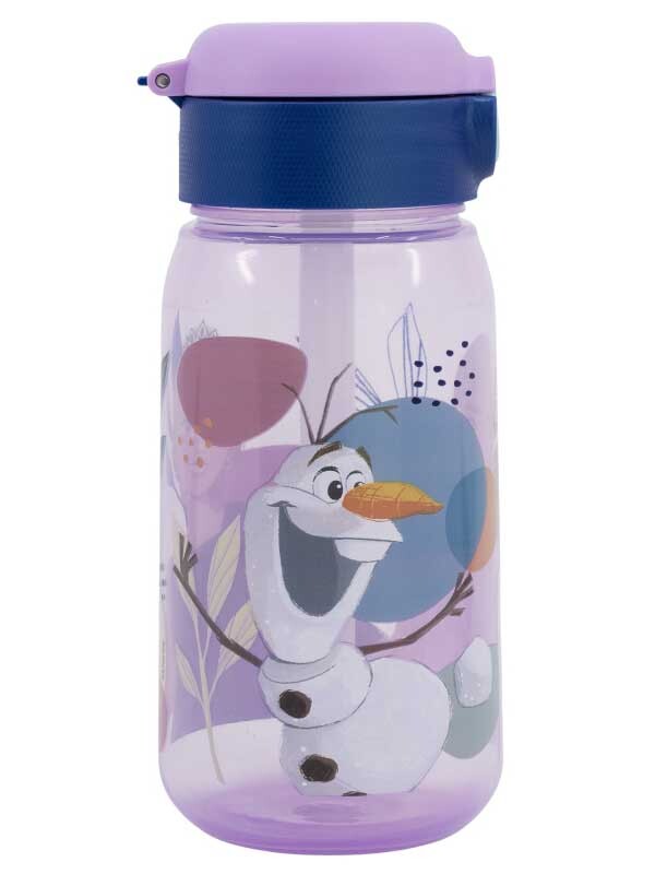 

Бутылка Stor Frozen ACTIVE CANTEEN 510 ML, разноцветный