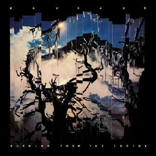 

CD диск Bauhaus: Burning From The Inside