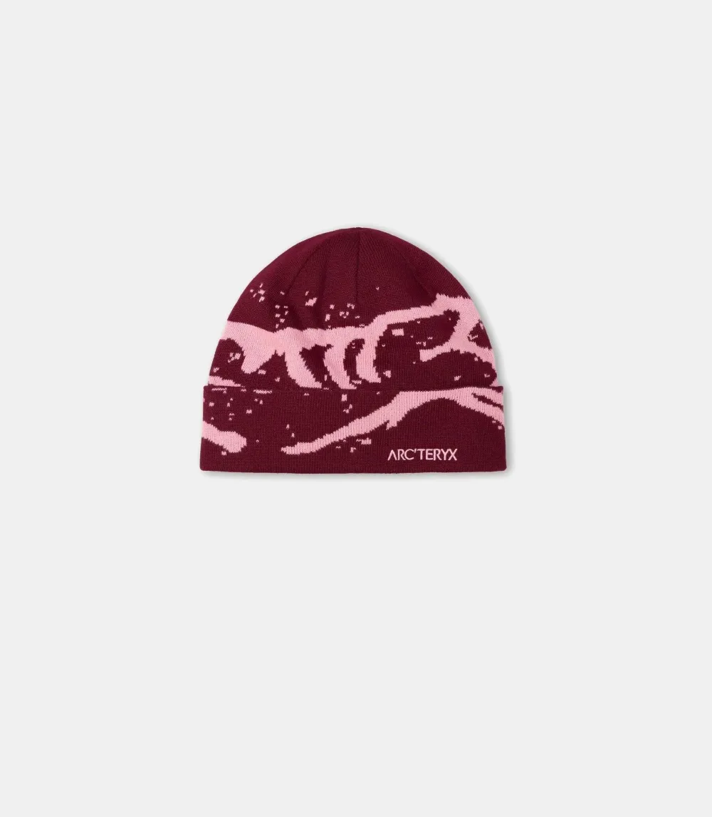 

Шапка-бини с узором Grotto Arc'Teryx, красный
