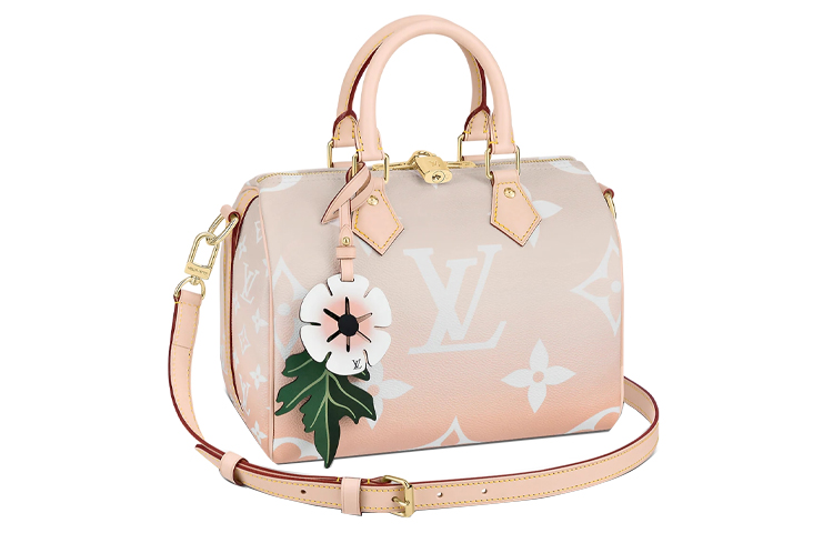 LOUIS VUITTON Speedy Bandouliere Gradient Pastel 25 Mist Gray