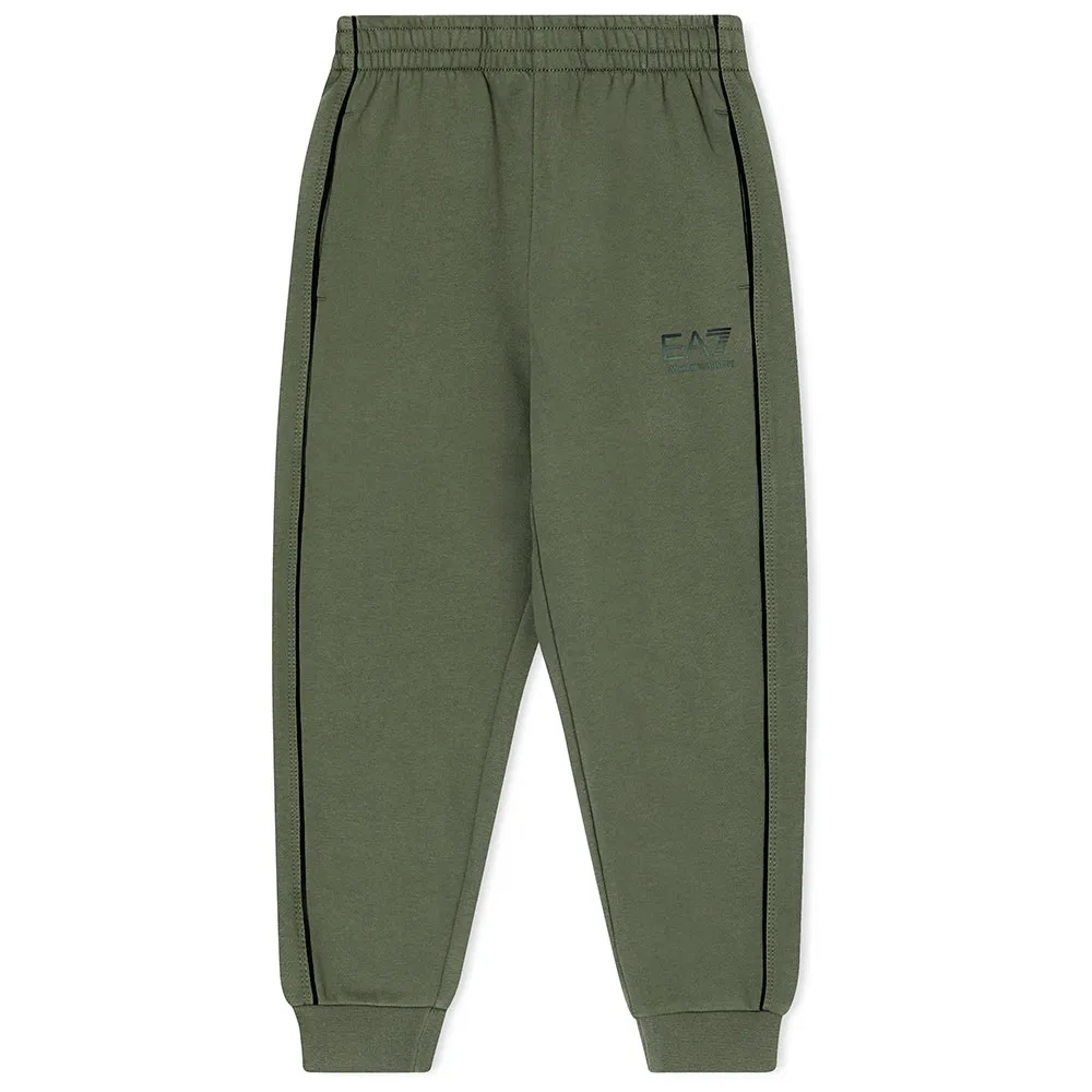 

Брюки EA7 EMPORIO ARMANI Train Visibility Ch Br sweat, зеленый