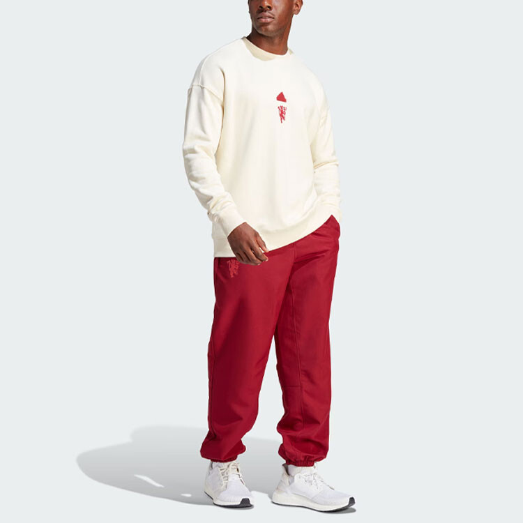 Мужская толстовка Adidas Manchester United LFSTLR — фото 3