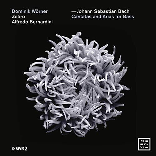 

CD диск Bach, J.S. / Bernardini / Worner: Cantatas & Arias for Bass