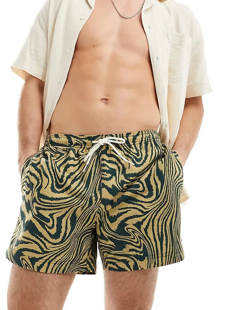 

Плавки-шорты PacSun Warp Print зеленого цвета