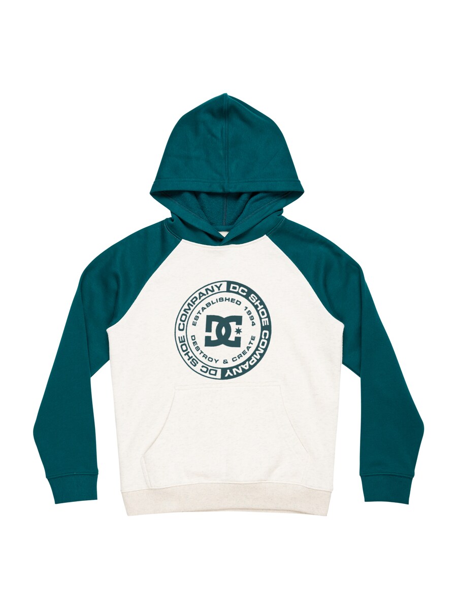 

Спортивная толстовка DC Shoes, цвет Cyan blue