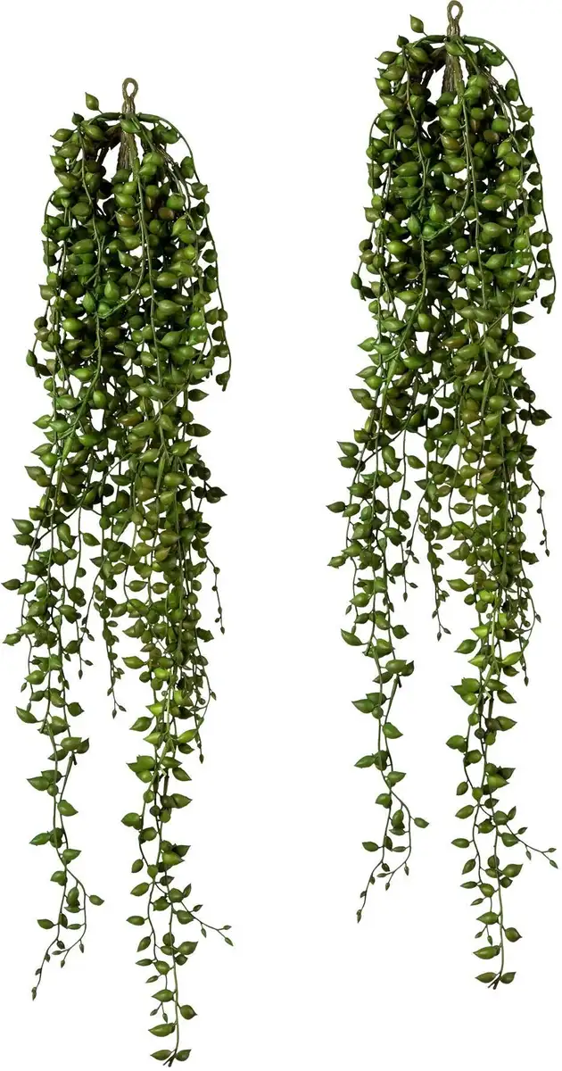 

Креативная зеленая искусственная лоза Creativ green Высота: 88 см, зеленый