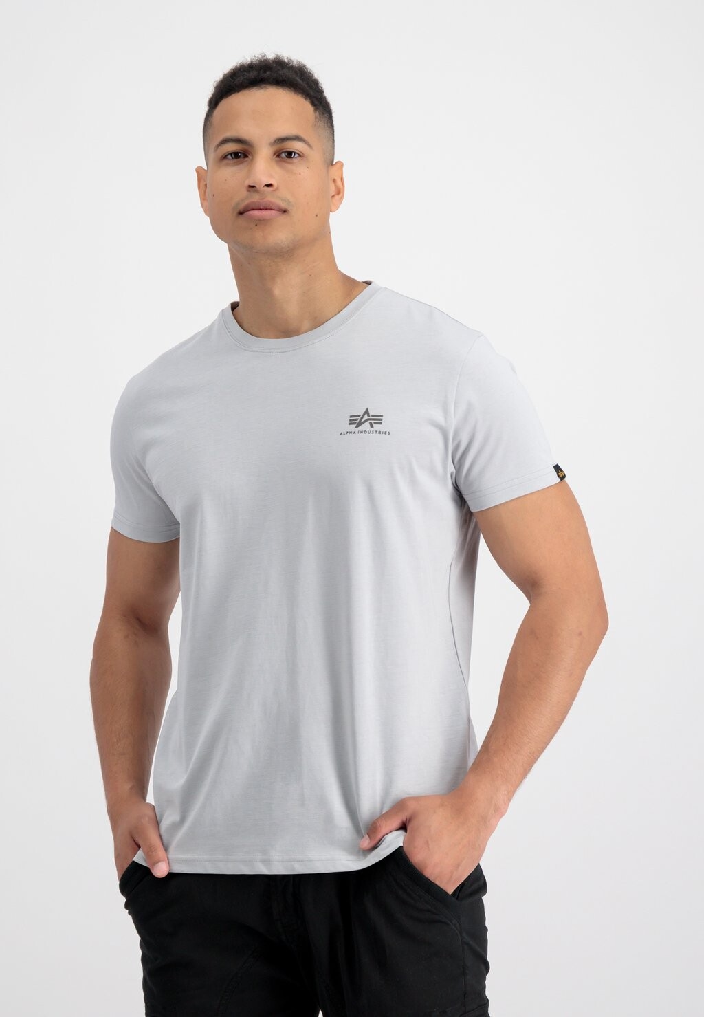 

Футболка с принтом Small Logo Alpha Industries, цвет pastel grey