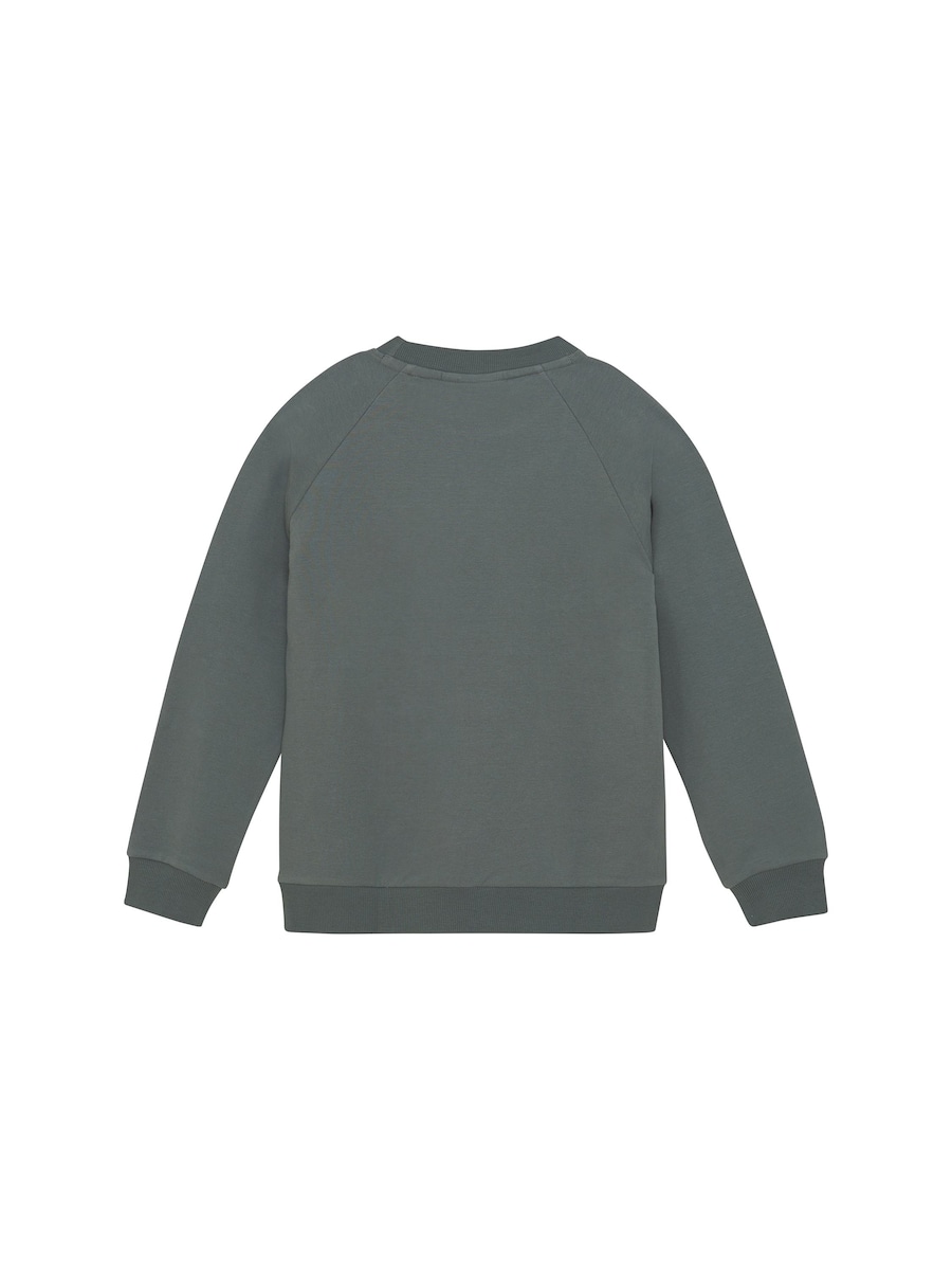 Свитер COLOR KIDS  COSweat W. JR. Logo Print, зеленый — фото 2