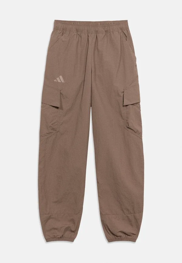 Брюки-Карго Adidas Terrex, Trace Brown