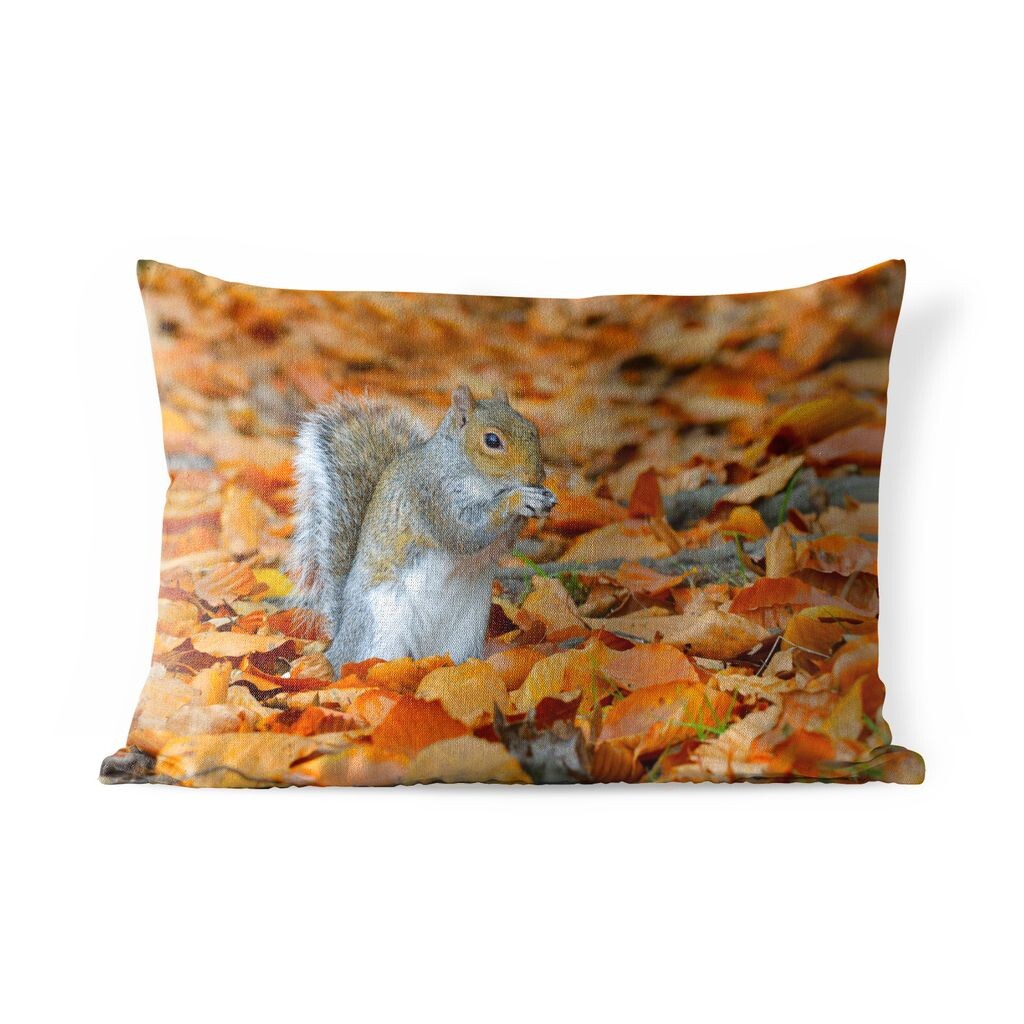 

Подушка для улицы MuchoWow - белка между осенними листьями - 50x30 см - защита от атмосферных воздействий - подушка для отдыха - чехол на подушку - хлопчатобумажная ткань - декоративные чехлы на подушки, мультиколор