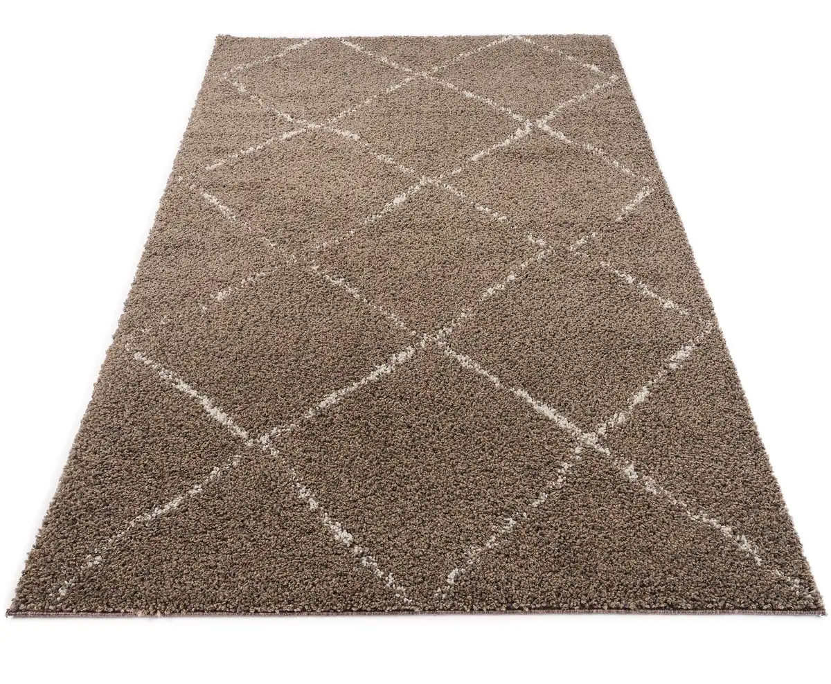 

OCI THE CARPET BRAND Ковер Shaggy "Стокгольм", прямоугольный, для гостиной OCI Die Teppichmarke 200х290 см, коричневый