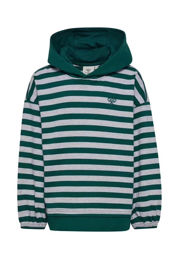 Толстовка Hummel Hmljr conelly boxy contrast hoodie, лесной биом
