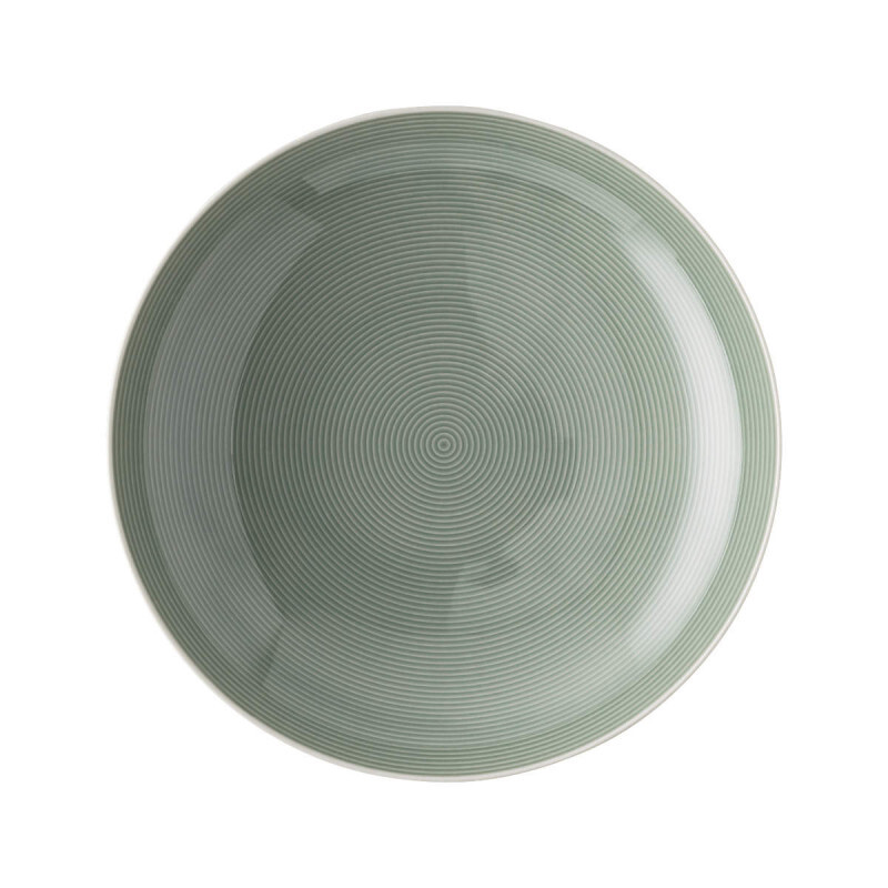 

Суповая тарелка Loft Color Moss Green 24 см Thomas, зеленый