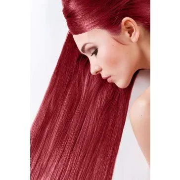 Краска для волос SANOTINT Classic Colour 23 Currant, 2 упаковки по 125 мл Sanotint