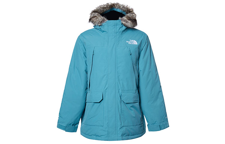 

THE NORTH FACE Мужская стеганая куртка, цвет Blue