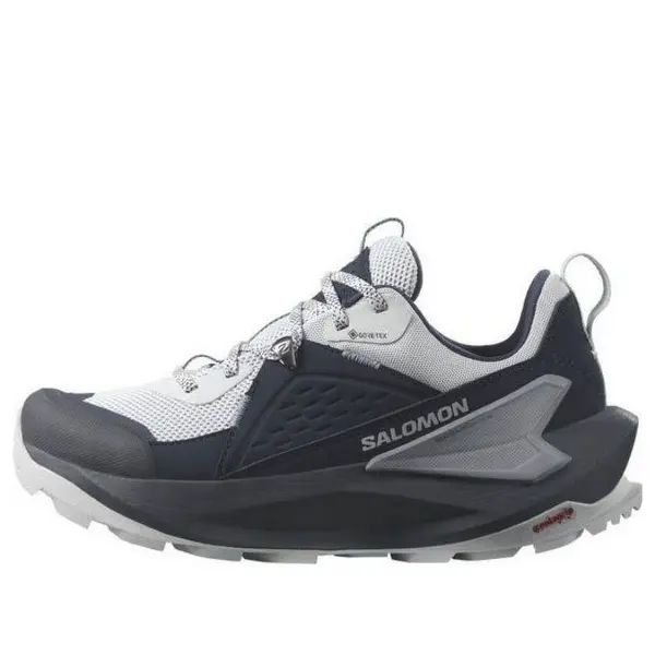 Кроссовки elixir gtx 'carbon pearl blue' Salomon, мультиколор