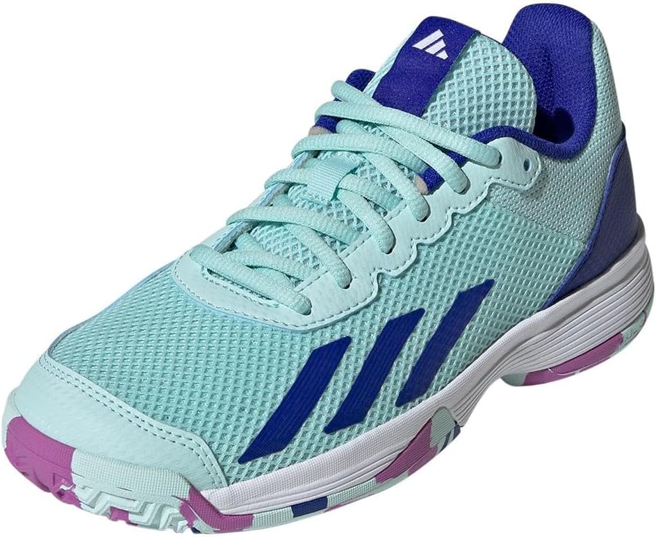 

Мужские теннисные кроссовки Adidas Court Flash, синий/фиолетовый
