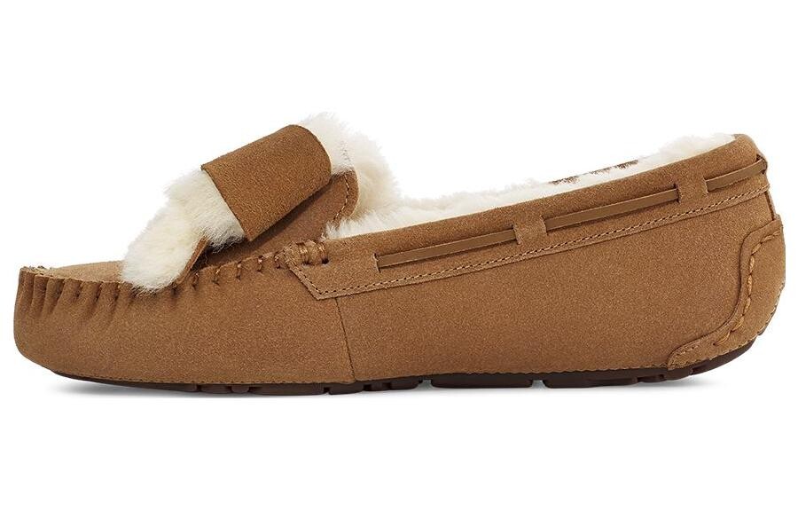 Женская повседневная обувь Женские низкие каштановые туфли Ugg, коричневый