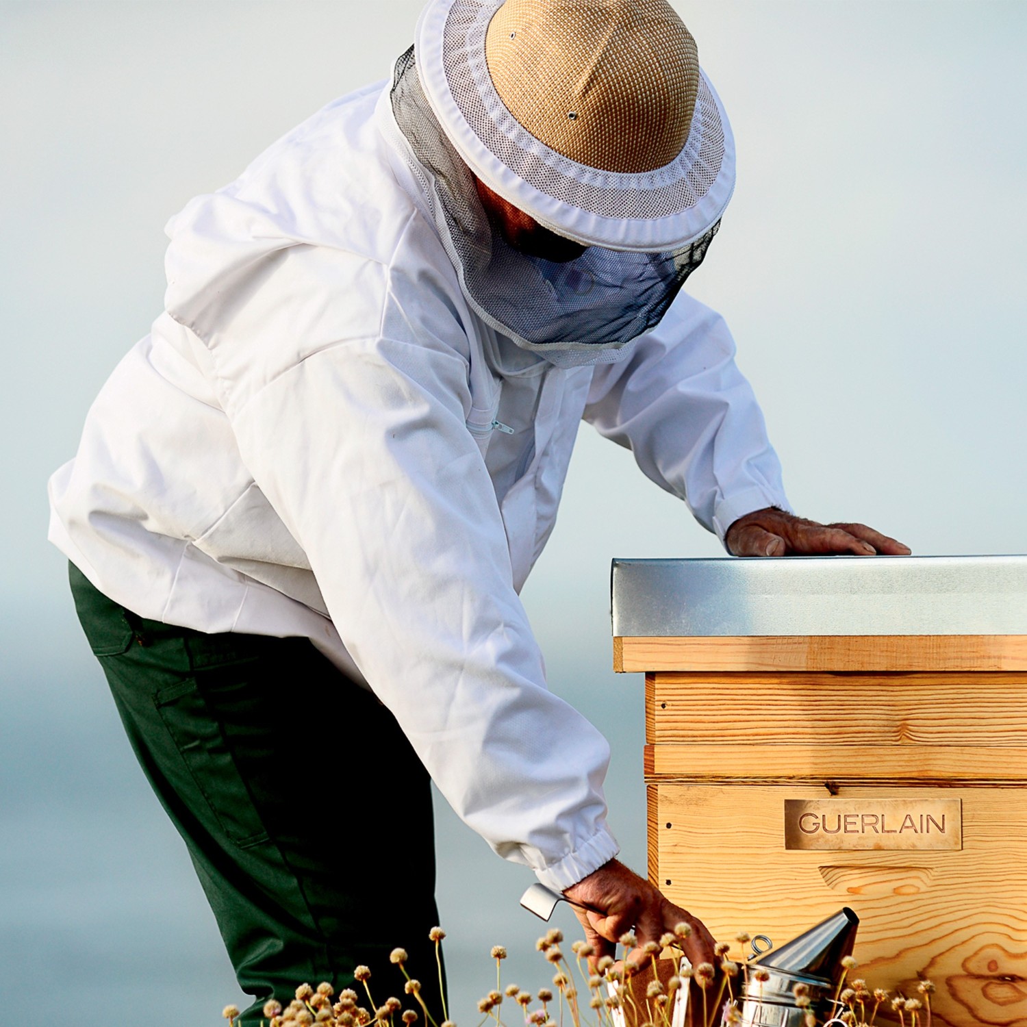 Сыворотка для лица abeille royale Guerlain, объем 50 мл — фото 3