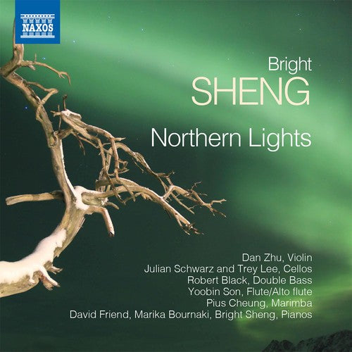 

CD диск Sheng / Zhu / Bournaki: Bright Sheng: Rthern Lights