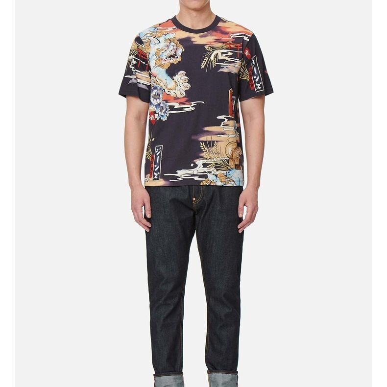 Футболка мужская многоцветная Evisu, цвет Multicolor — фото 4